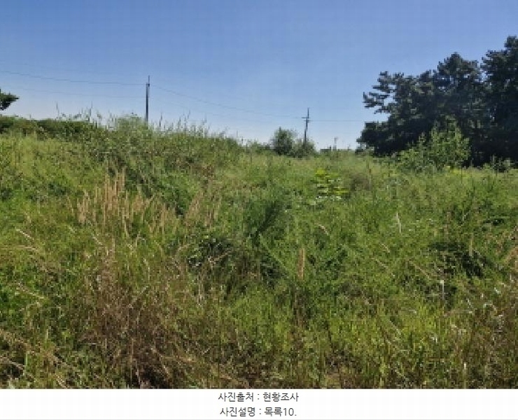 2025타경53116 경기도 안산시 단원구 대부남동 46 농지 경매 이미지