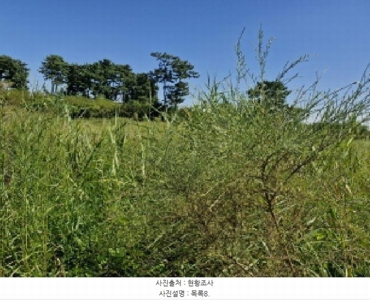2025타경53116 경기도 안산시 단원구 대부남동 46 농지 경매 이미지
