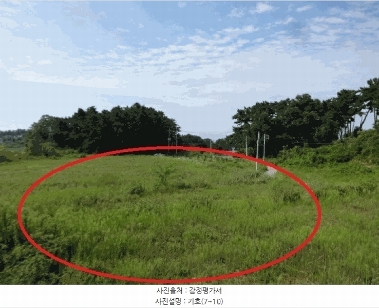 2025타경53116 경기도 안산시 단원구 대부남동 46 농지 경매 이미지