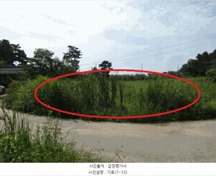 2025타경53116 경기도 안산시 단원구 대부남동 46 농지 경매 이미지