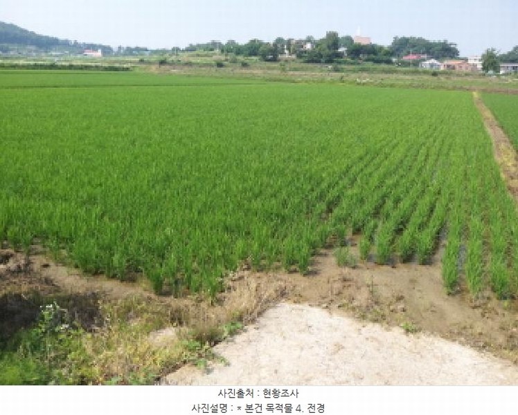 2025타경665 경기도 평택시 오성면 양교리 571-1 농지 경매 이미지