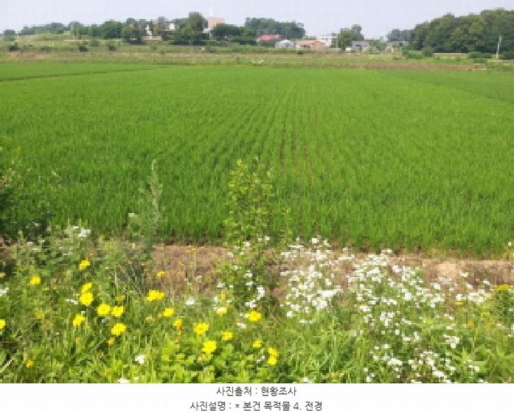 2025타경665 경기도 평택시 오성면 양교리 571-1 농지 경매 이미지