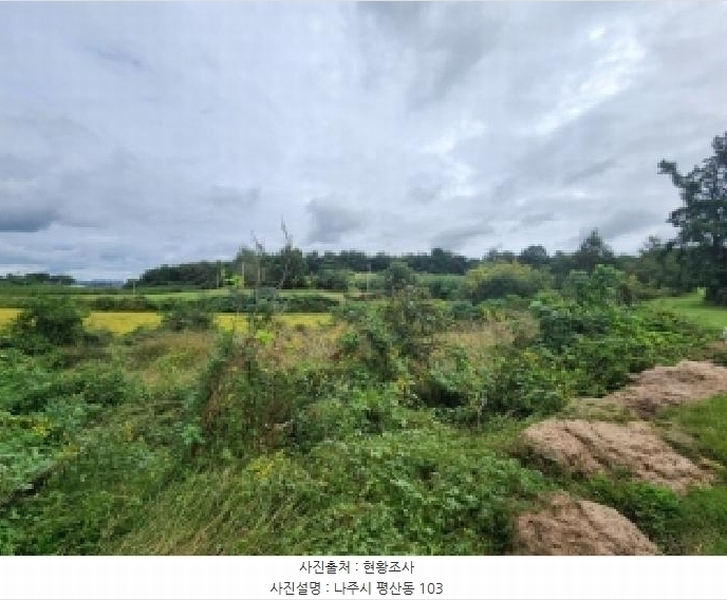 2025타경33903 전라남도 나주시 평산동 103 농지 경매 이미지