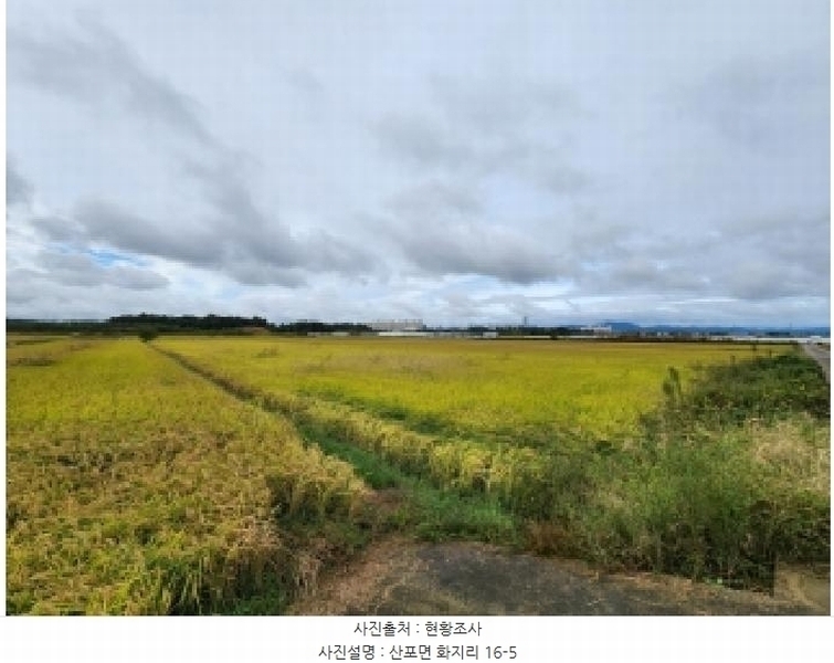 2025타경33903 전라남도 나주시 산포면 화지리 16-5 농지 경매 이미지