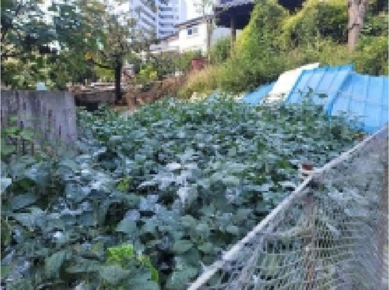 2025타경530 경상남도 통영시 인평동 175-10 농지 경매 이미지