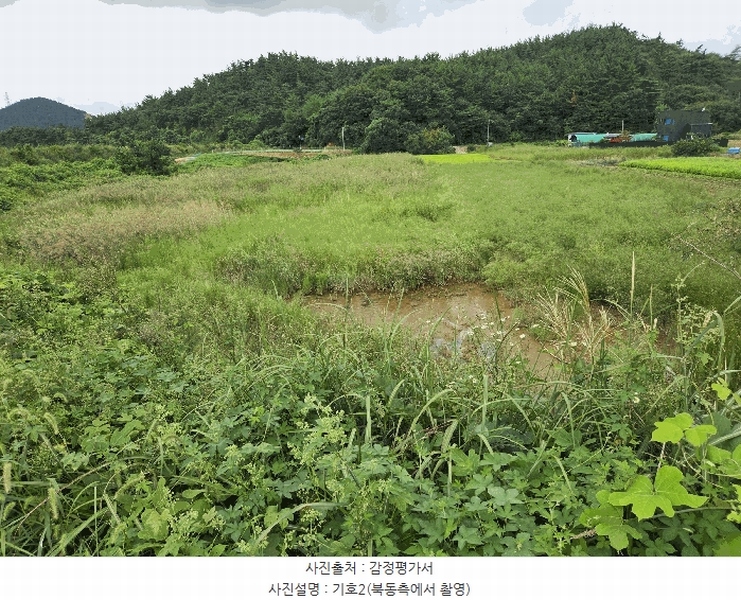 2025타경51693 충청남도 서산시 팔봉면 호리 1-11 농지 경매 이미지