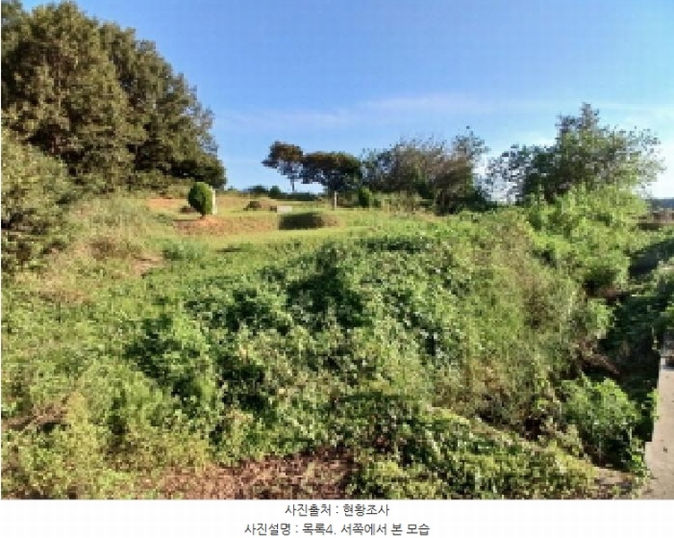 2025타경51694 충청남도 당진시 석문면 삼화리 산77-1 임야 경매 이미지