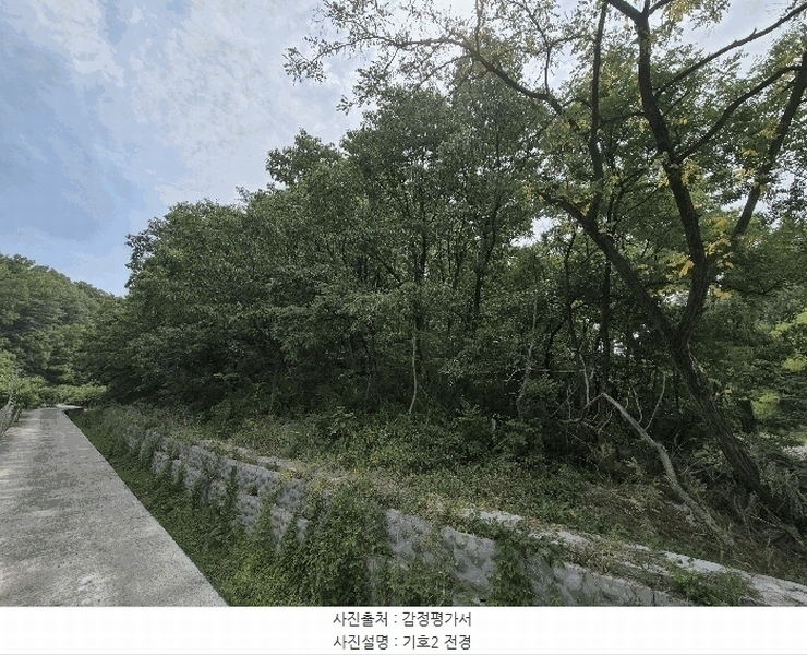 2025타경8058 경상북도 영천시 완산동 산23 임야 경매 이미지