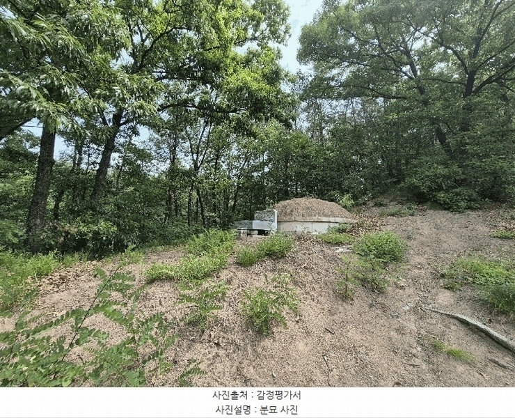 2025타경8058 경상북도 영천시 완산동 산23 임야 경매 이미지
