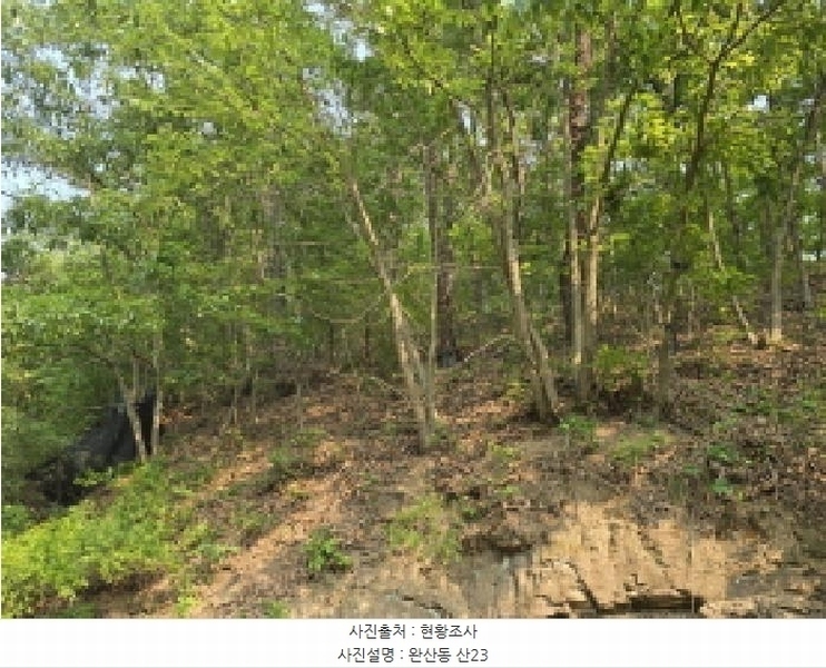 2025타경8058 경상북도 영천시 완산동 산23 임야 경매 이미지