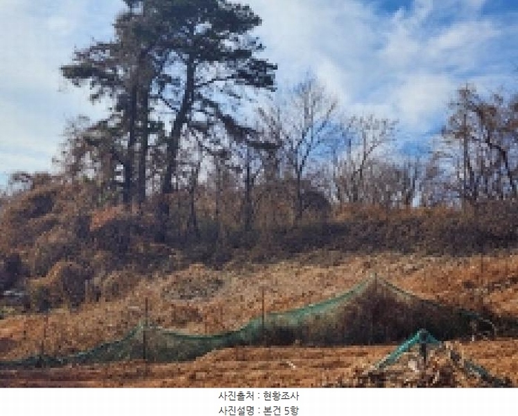 2025타경725 전라남도 여수시 율촌면 조화리 70-16 농지 경매 이미지