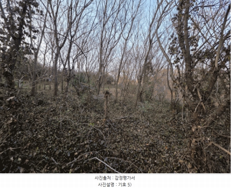 2025타경725 전라남도 여수시 율촌면 조화리 70-16 농지 경매 이미지