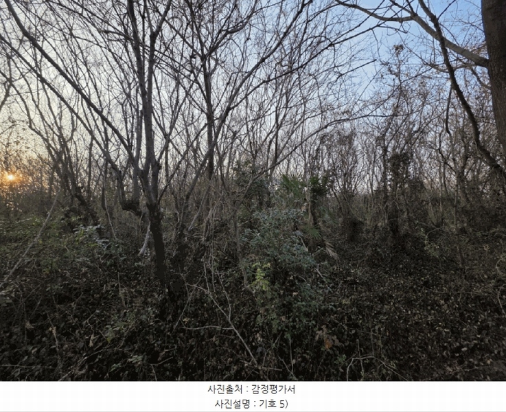 2025타경725 전라남도 여수시 율촌면 조화리 70-16 농지 경매 이미지