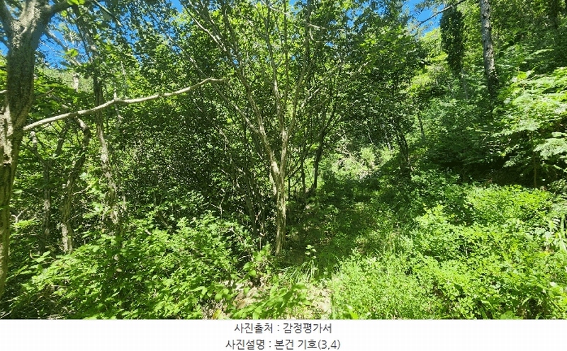2025타경51883 전라남도 여수시 돌산읍 금봉리 산572 임야 경매 이미지