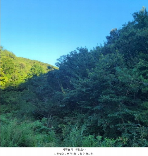 2025타경51883 전라남도 여수시 돌산읍 금봉리 산572 임야 경매 이미지