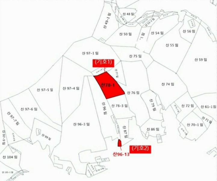 2025타경52166 전라남도 여수시 화양면 나진리 산96-13 임야 경매 이미지