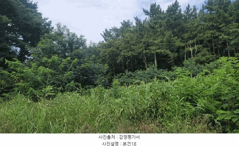 2025타경10332 강원특별자치도 양양군 손양면 도화리 34 농지 경매 이미지