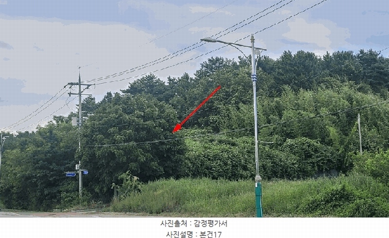 2025타경10332 강원특별자치도 양양군 손양면 도화리 34 농지 경매 이미지