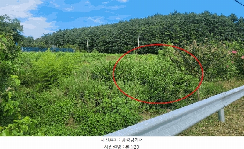 2025타경10332 강원특별자치도 양양군 손양면 도화리 34 농지 경매 이미지