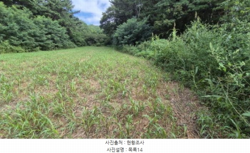 2025타경10332 강원특별자치도 양양군 손양면 도화리 34 농지 경매 이미지