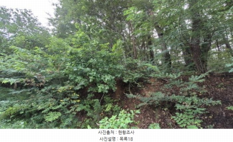 2025타경10332 강원특별자치도 양양군 손양면 도화리 34 농지 경매 이미지