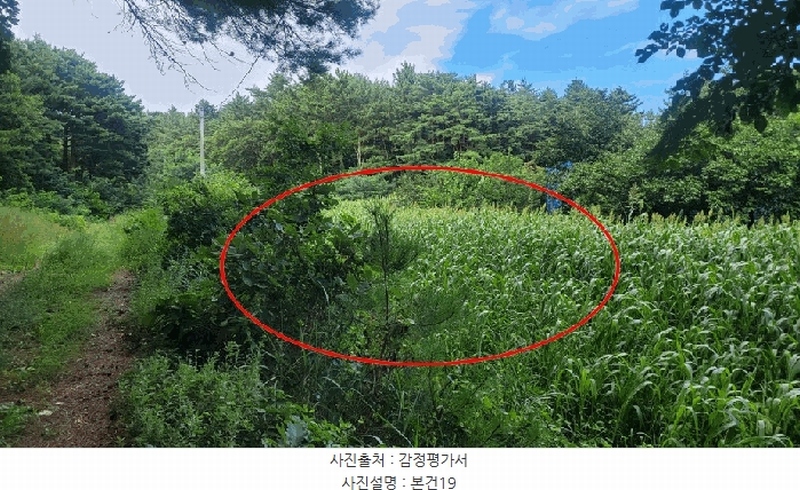 2025타경10332 강원특별자치도 양양군 손양면 도화리 34 농지 경매 이미지