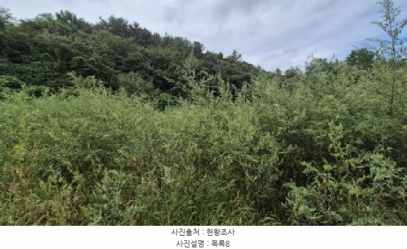 2025타경10332 강원특별자치도 양양군 손양면 도화리 10 농지 경매 이미지