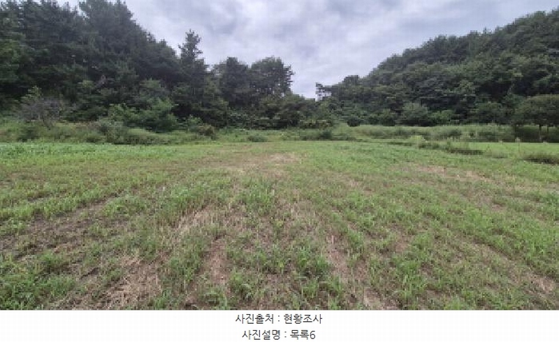 2025타경10332 강원특별자치도 양양군 손양면 도화리 10 농지 경매 이미지