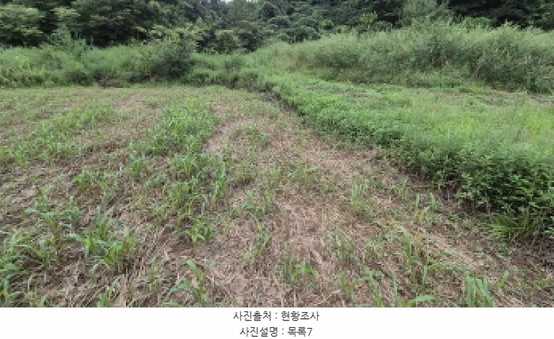 2025타경10332 강원특별자치도 양양군 손양면 도화리 10 농지 경매 이미지