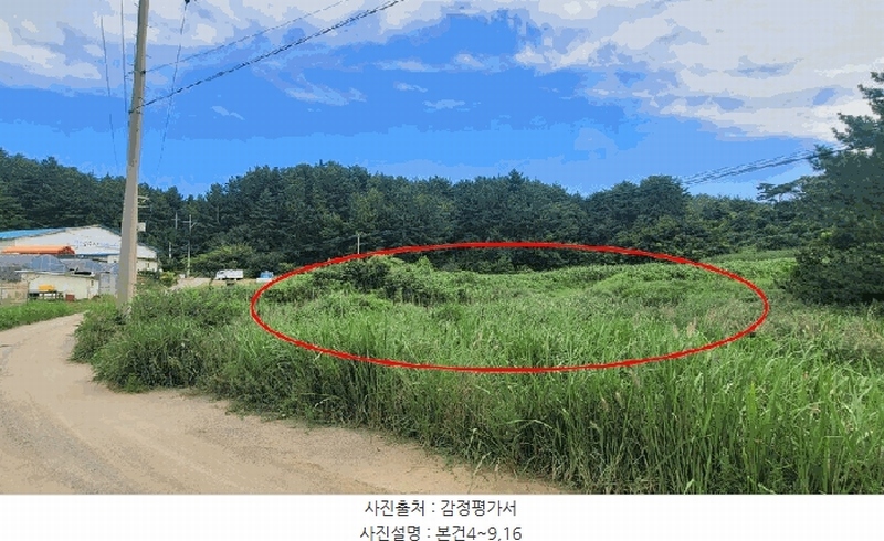 2025타경10332 강원특별자치도 양양군 손양면 도화리 10 농지 경매 이미지