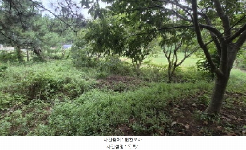 2025타경10332 강원특별자치도 양양군 손양면 도화리 10 농지 경매 이미지
