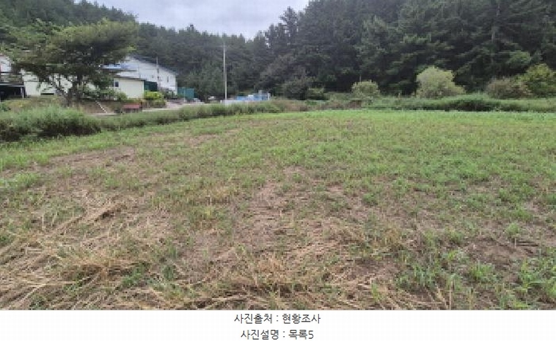 2025타경10332 강원특별자치도 양양군 손양면 도화리 10 농지 경매 이미지