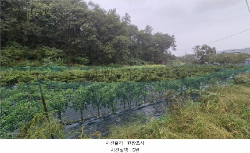 2025타경10356 강원특별자치도 고성군 간성읍 상리 379-5 농지 경매 이미지