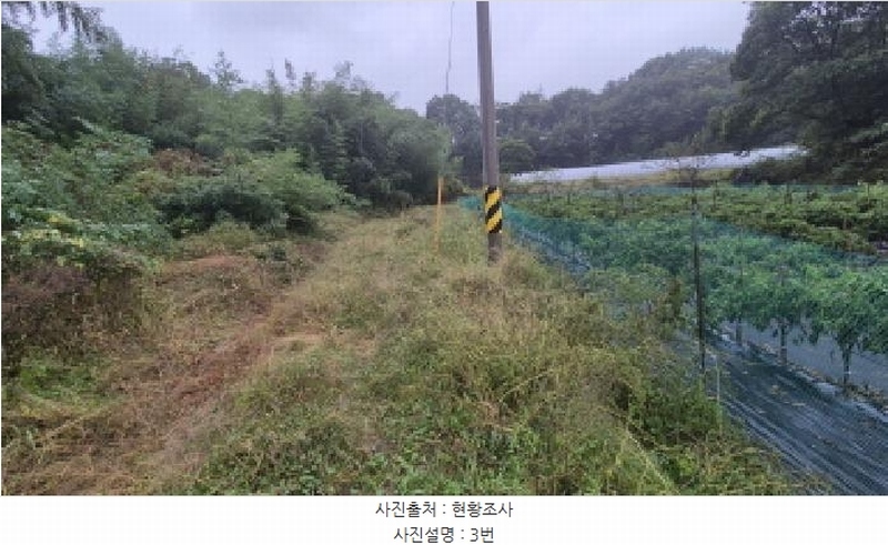 2025타경10356 강원특별자치도 고성군 간성읍 상리 379-5 농지 경매 이미지