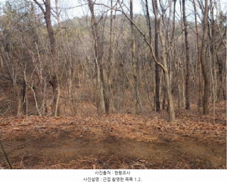 2025타경507333 인천광역시 옹진군 영흥면 내리 산336-2 임야 경매 이미지