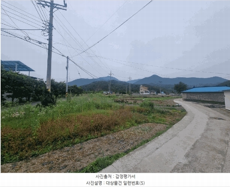 경매 이미지