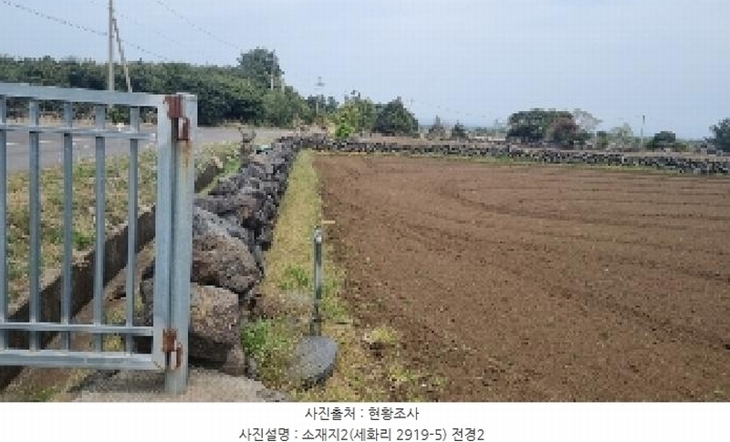 2025타경1071 제주특별자치도 제주시 구좌읍 세화리 2919-5 임야 경매 이미지