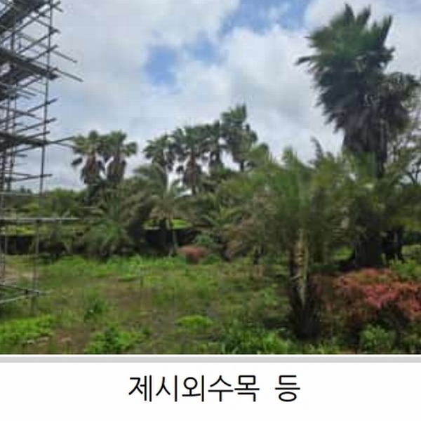2025타경1357 제주특별자치도 제주시 한림읍 월령리 1026-5 농지 경매 이미지