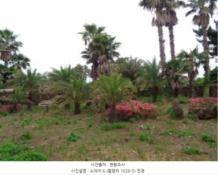 2025타경1357 제주특별자치도 제주시 한림읍 월령리 1026-5 농지 경매 이미지