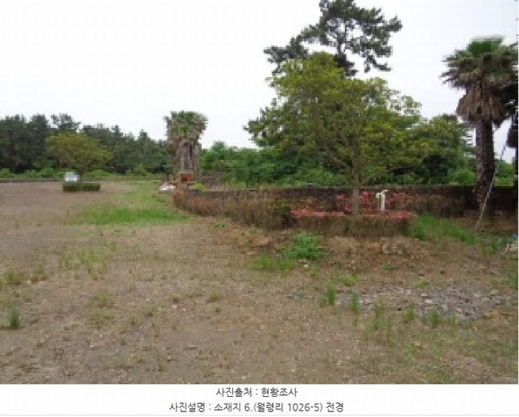 2025타경1357 제주특별자치도 제주시 한림읍 월령리 1026-5 농지 경매 이미지