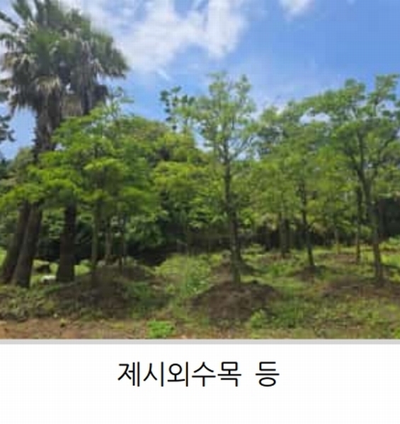 2025타경1357 제주특별자치도 제주시 한림읍 월령리 1026-4 농지 경매 이미지