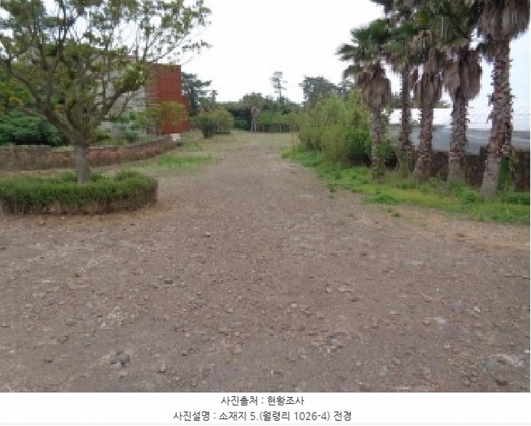 2025타경1357 제주특별자치도 제주시 한림읍 월령리 1026-4 농지 경매 이미지