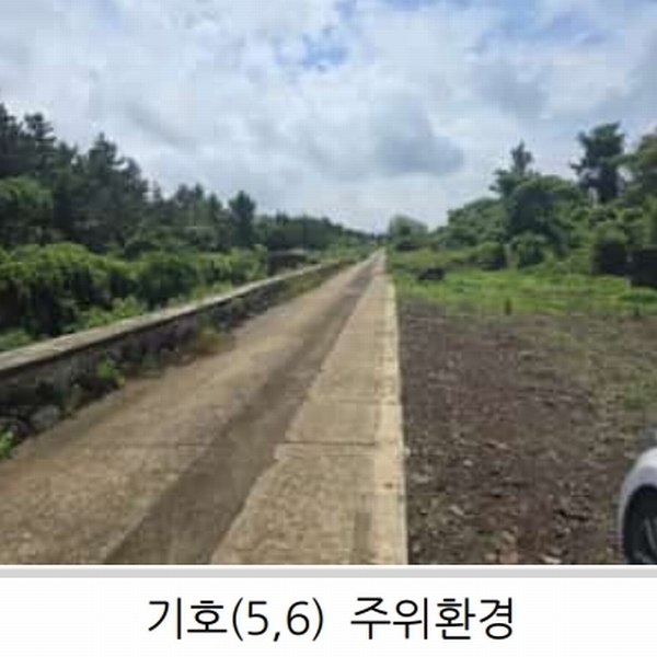 2025타경1357 제주특별자치도 제주시 한림읍 월령리 1026-4 농지 경매 이미지