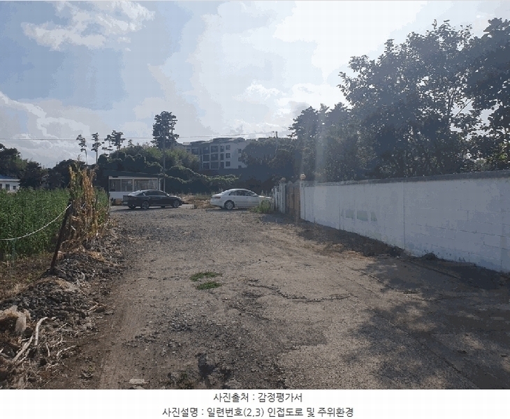 2025타경1548 제주특별자치도 제주시 아라이동 1316-5 과수원 경매 이미지