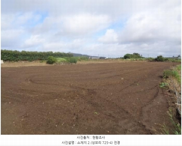 2025타경1578 제주특별자치도 서귀포시 대정읍 상모리 725-4 농지 경매 이미지