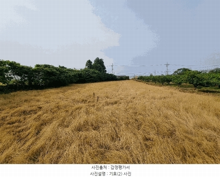 2025타경8109 제주특별자치도 서귀포시 표선면 하천리 1579-10 농지 경매 이미지