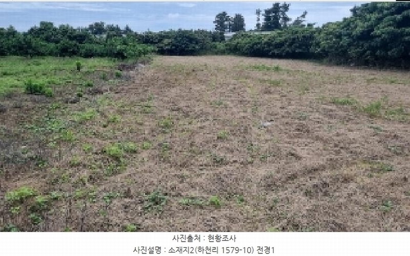 2025타경8109 제주특별자치도 서귀포시 표선면 하천리 1579-10 농지 경매 이미지