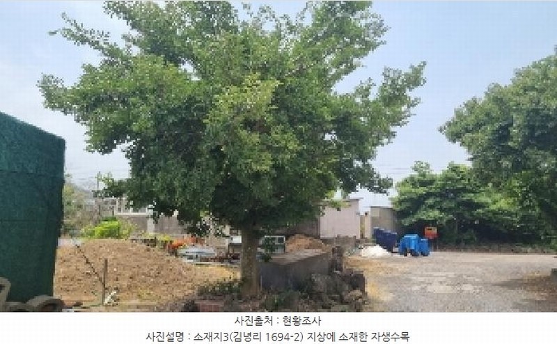 2025타경1311 제주특별자치도 제주시 구좌읍 김녕리 1694-2 농지 경매 이미지