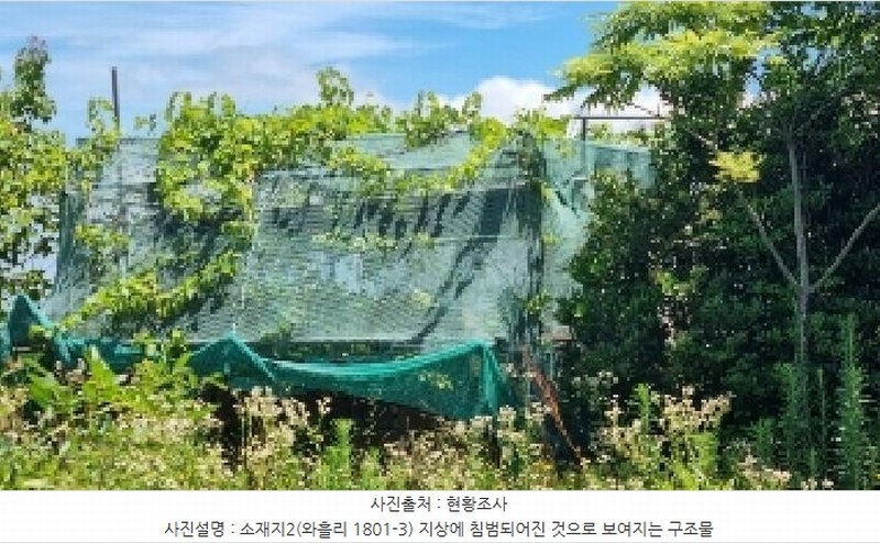 2025타경1311 제주특별자치도 제주시 조천읍 와흘리 1801-3 농지 경매 이미지