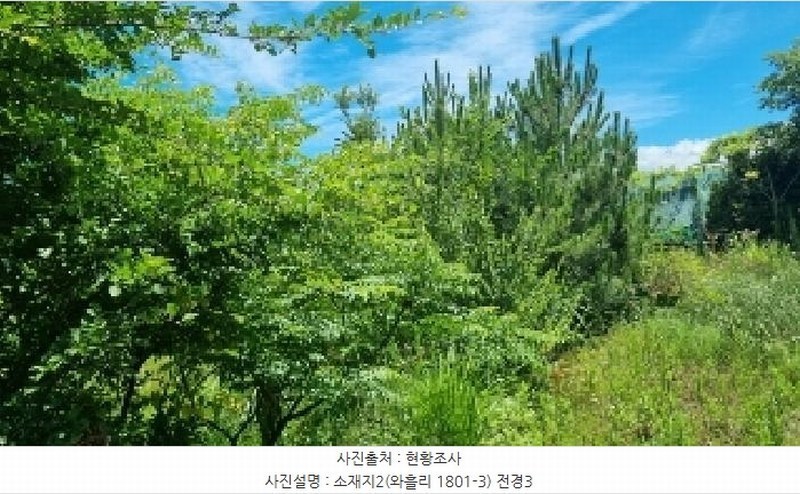 2025타경1311 제주특별자치도 제주시 조천읍 와흘리 1801-3 농지 경매 이미지